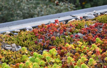 the cost of Worsbrough Dale green roof installation