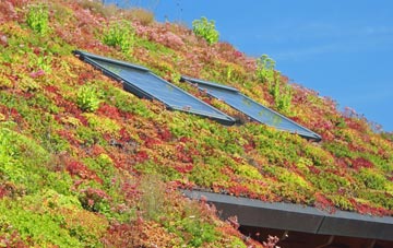 Worsbrough Dale living roof systems